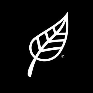 R&R Vision — photography and videography